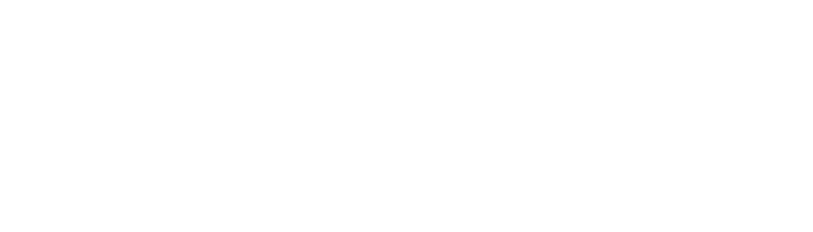 cropped-BruesewitzBrueder_weiss_Zeichenflaeche-1.png
